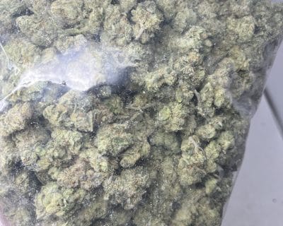 GOLIATH GLUE (EXOTIC SATIVA DEAL) - Image 6